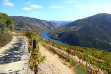 Portugal-Douro-Hiking the Douro Valley